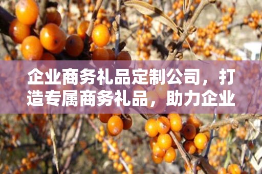 企业商务礼品定制公司，打造专属商务礼品，助力企业合作与发展