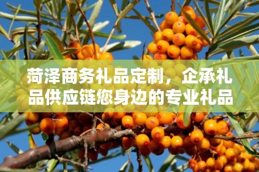 菏泽商务礼品定制，企承礼品供应链您身边的专业礼品定制公司