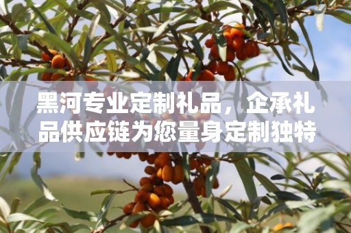 黑河专业定制礼品，企承礼品供应链为您量身定制独特礼品