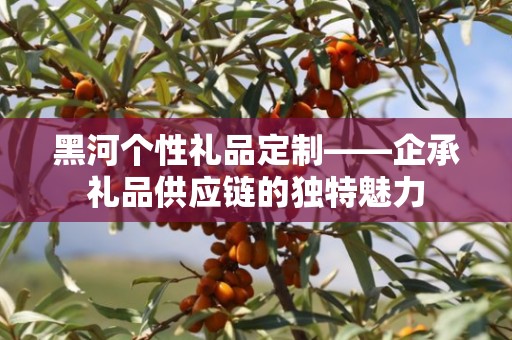 黑河个性礼品定制——企承礼品供应链的独特魅力